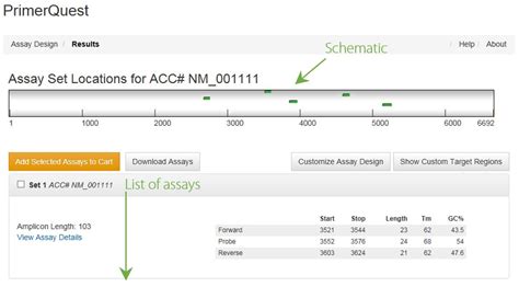 Primer design tools for PCR & qPCR | IDT