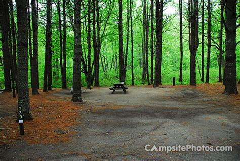 Sebago Lake State Park - Campsite Photos, Camping Info & Reservations