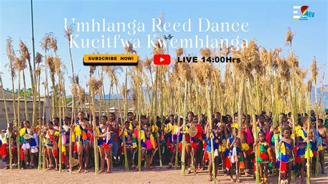 Umhlanga Reed Dance 2023 || Kucitfwa Kwemhlanga - YouTube