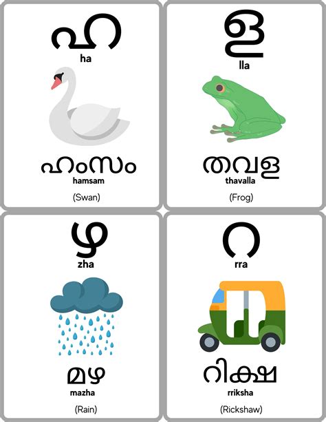 Malayalam Alphabet Flashcards Malayalam Consonants Learn, 40% OFF