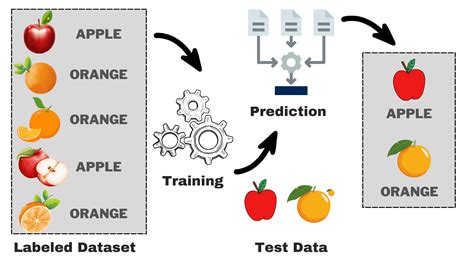 Understanding Supervised Learning: Theory and Overview - KDnuggets