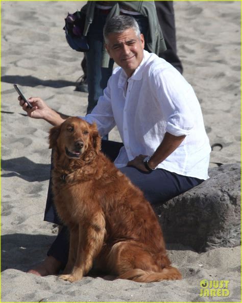 George Clooney: 'Gravity' Pushed To 2013: Photo 2662639 | George ...