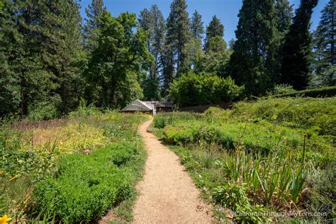 Empire Mine State Historic Park: Exploring one of California's Richest ...