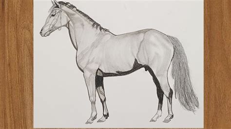 Horse Pencil Shading - YouTube