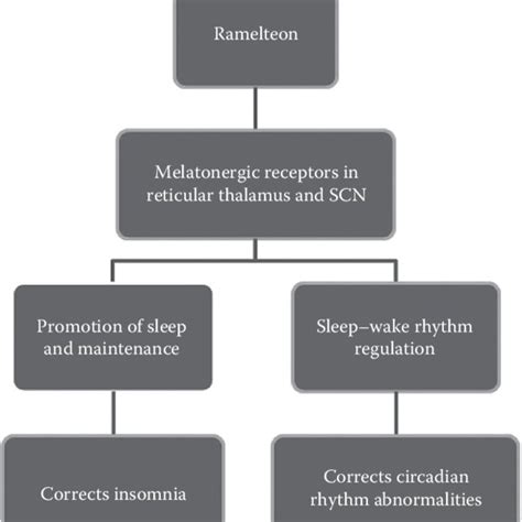 1 Mechanisms of action of ramelteon on sleep. | Download Scientific Diagram