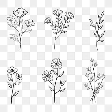 Free Flower Vectors, 68000+ Flower Graphic Resources for Free Download