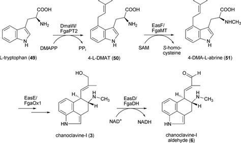 Ergot alkaloids