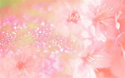 Cool Pink Flower Backgrounds