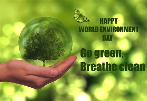 2024 Environment Day Theme Poster - Hedda Krissie