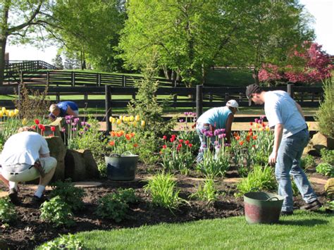 DO's and Don't fo Spring Yard Clean Up - Heidi's Growhaus and LG