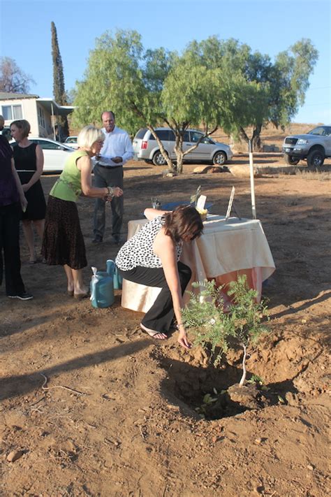 Celebration of Life-Tree Planting Ceremony | Lifestory Occasions