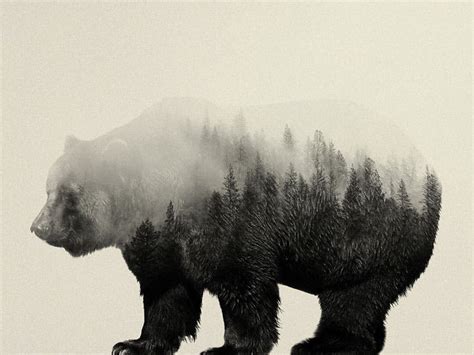 Double Exposure Portraits Show Beautiful Animals and Their Habitats