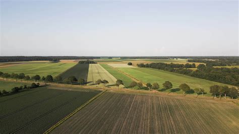 Aerial view of a farm field with trees and fields 27537511 Stock Video ...