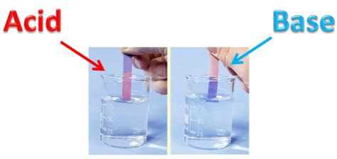 Class 7th Science Ch 5 ( Acids, Bases and Salts) Revision Notes