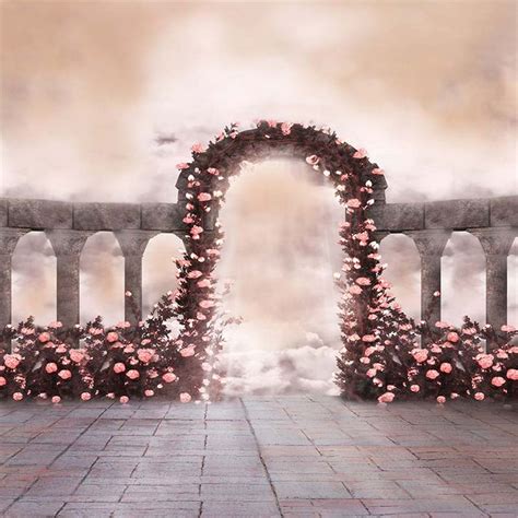 2019 Pink Roses Arched Door Romantic Wedding Backdrop Photography ...