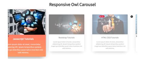 Owl Carousel Slider Bootstrap 5 Example Download - HTML CSS Tutorials