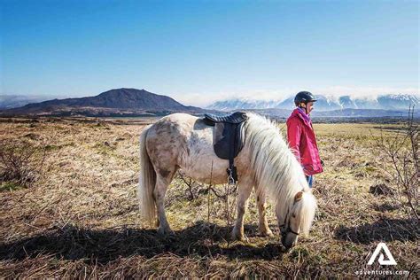 The Lava Tour - Horse riding from Reykjavik