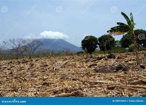 Ometepe stock image. Image of nicaragua, mountain, harvest - 20093693