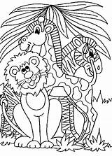 Jungle Animals Printable Coloring Pages  Boringpopcom sketch template