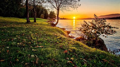 Burnaby lake regional park, british columbia, canada, burnaby lake ...