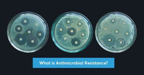 What is Antimicrobial Resistance?