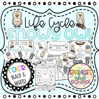 Life Cycle SNOWY OWL by Sprinkles and School | Teachers Pay Teachers