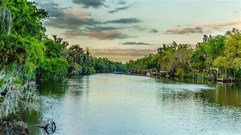 Alafia River Dreaming Photograph by Robbie Lyle - Fine Art America