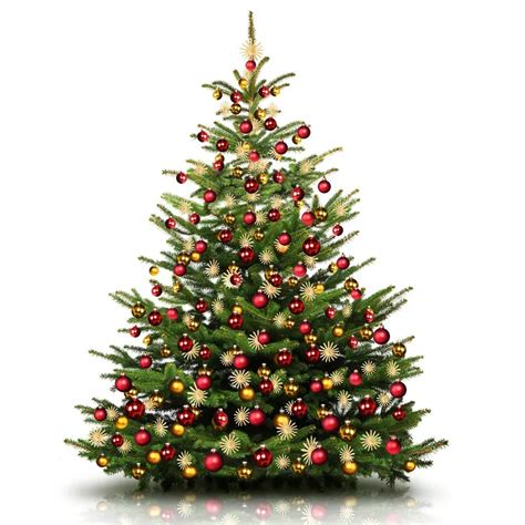 A Christmas tree for this special time of the year- it will make you ...