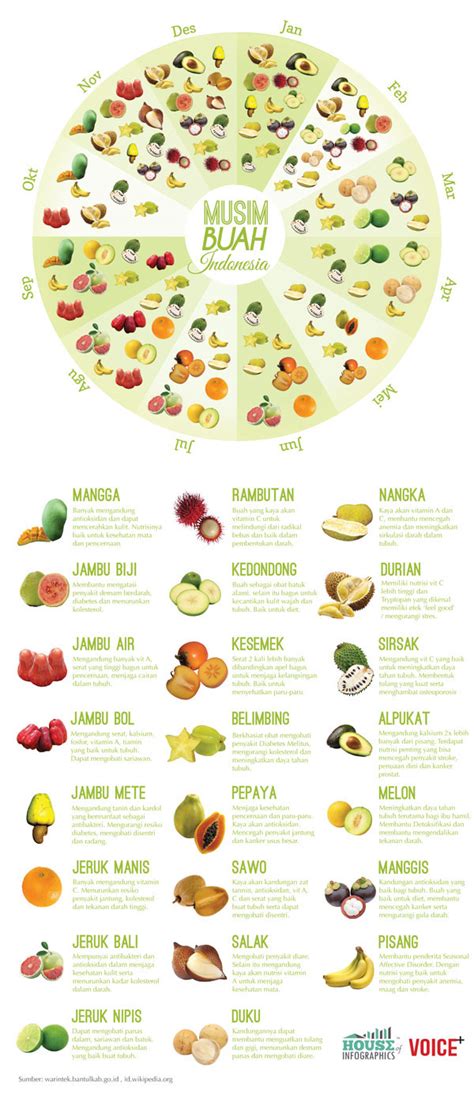 Infographics: Indonesia Fruit Season on Behance