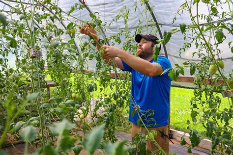 Garden Window Farm — Davidson County Local Food Network