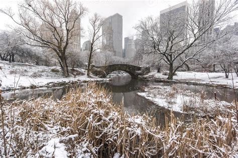 Gapstow bridge Central Park, New York City 748451 Stock Photo at Vecteezy