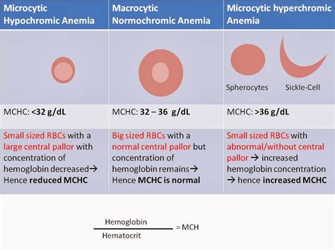 Haematology in a NutShell: Red Cell Indices