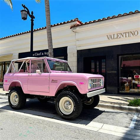 Vintage Pink Bronco - Spotlight on the LoveShackFancy Bronco