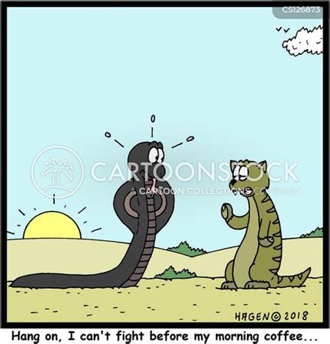 Mongoose Cartoons and Comics - funny pictures from CartoonStock