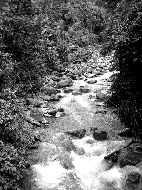 Discover Poring Hot Springs: Relaxing Therapeutic Retreat in Sabah’s Borneo Rainforest - sabah.guide