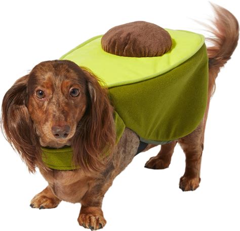 Frisco Avocado Dog & Cat Costume, Medium - Chewy.com