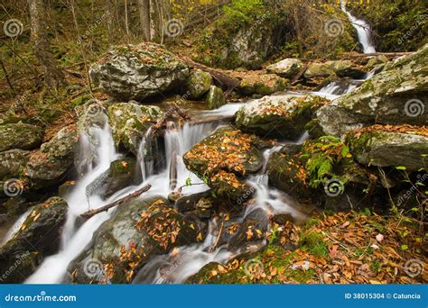 Fall Colors, Waterfall Cascade, Skyline Drive Stock Photo - Image of virginia, trees: 38015304