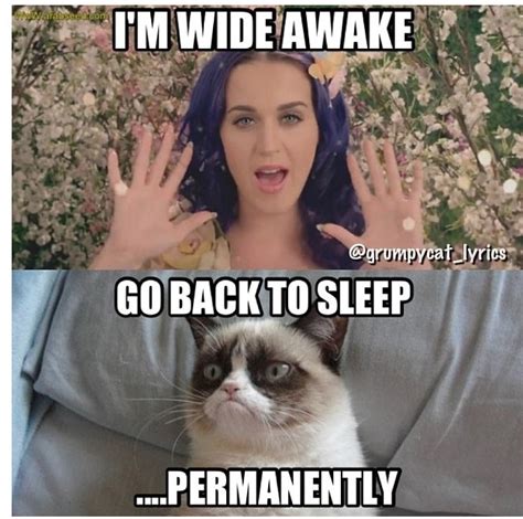 23 Hilarious Katy Perry Memes Ever Made