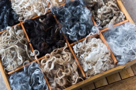 Properties of Wool Fiber (learn what makes wool awesome)