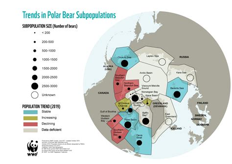 Polar bear population - WWF Arctic