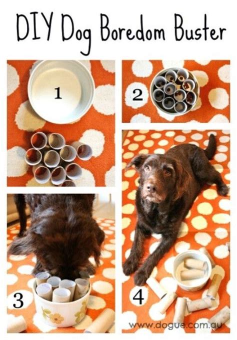 25 Frugally Fun DIY Dog Toys To Pamper Your Pooch | Diy dog stuff, Dog boredom, Homemade dog toys