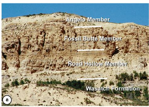 Fossil Butte - Geology of Wyoming