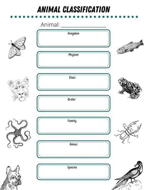 Animal classification worksheet | Animal classification, Animal classification worksheet, Free ...