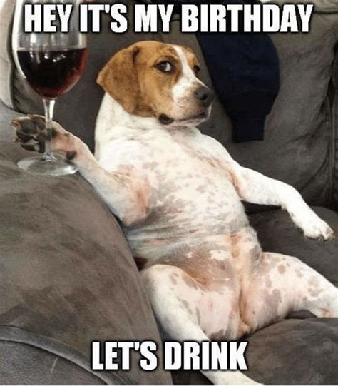 101 Funny Happy Birthday Dog Memes for Paw Lovers Everywhere