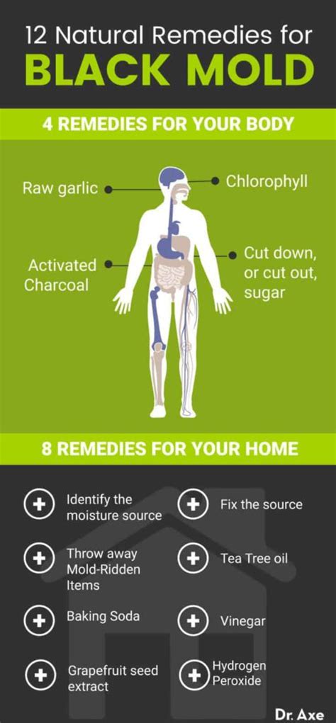 Black Mold Symptoms and 12 Natural Remedies - Dr. Axe