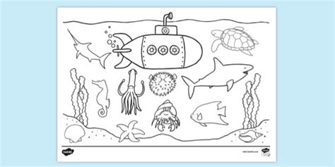 Activities for Kids Preschool 9 Sea Animals Coloring Pages First Grade ...