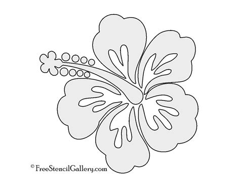 Hibiscus Flower Stencil | Free Stencil Gallery | Hibiscus flower drawing, Flower drawing images ...