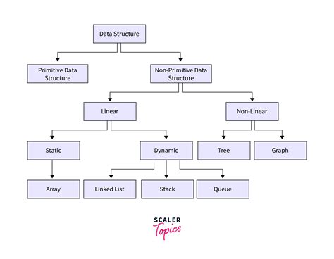 Difference Between Primitive and Non Primitive Data Structure - Scaler Blog