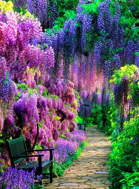 Google+ | Beautiful gardens, Beautiful nature, Nature