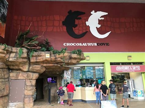 The Top 4 Things to Do in Crocosaurus Cove Darwin